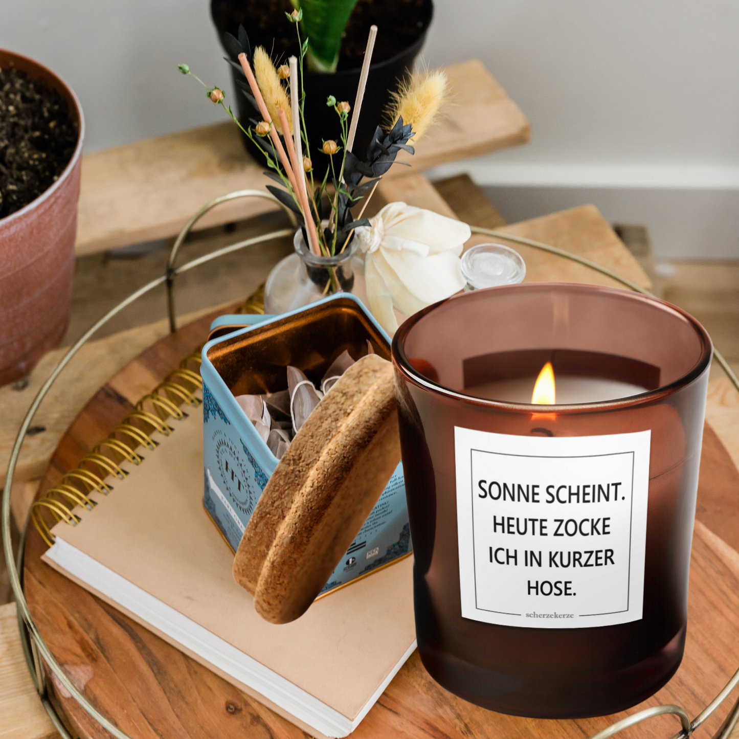 SONNE SCHEINT HEUTE ZOCKE ICH IN KURZER HOSE